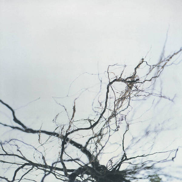 【03/01 Sun】
Chee Shimizu×廣瀬豊×木村銀次×服部健
「音楽の秘境を巡って〜耳で考えるOBSCURE SOUNDの世界〜」
『OBSCURE SOUND REVISED EDITION』出版記念
bookandbeer.com/event/20200301/
著者と音楽家・廣瀬豊氏による環境音楽を巡る貴重な対談機会。制作チームによる出版秘話もお聞き逃しなく。