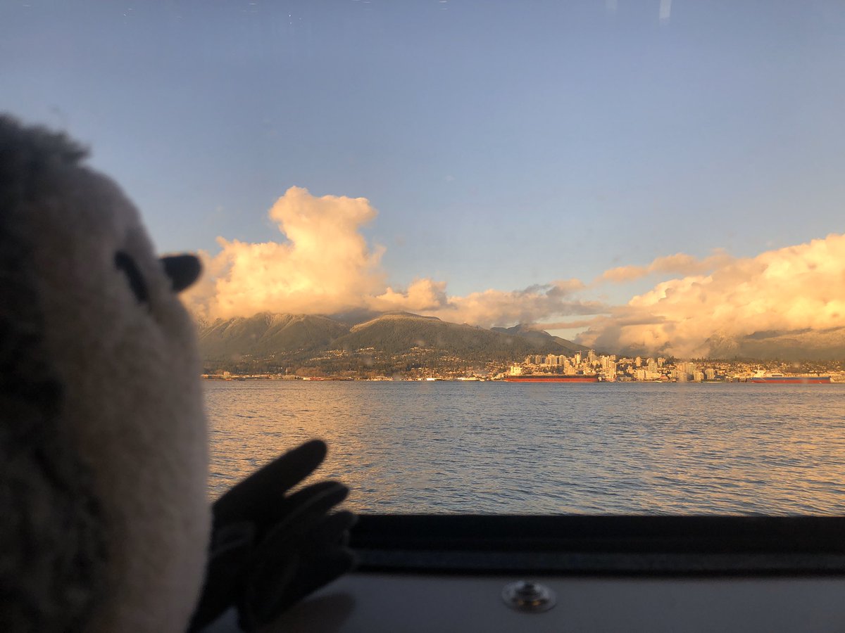 Plush sandpiper looking out the same seabus window, but this time at a city nestled at the foot of mountains shrouded in a blanket of clouds, everything tinted gold in evening light