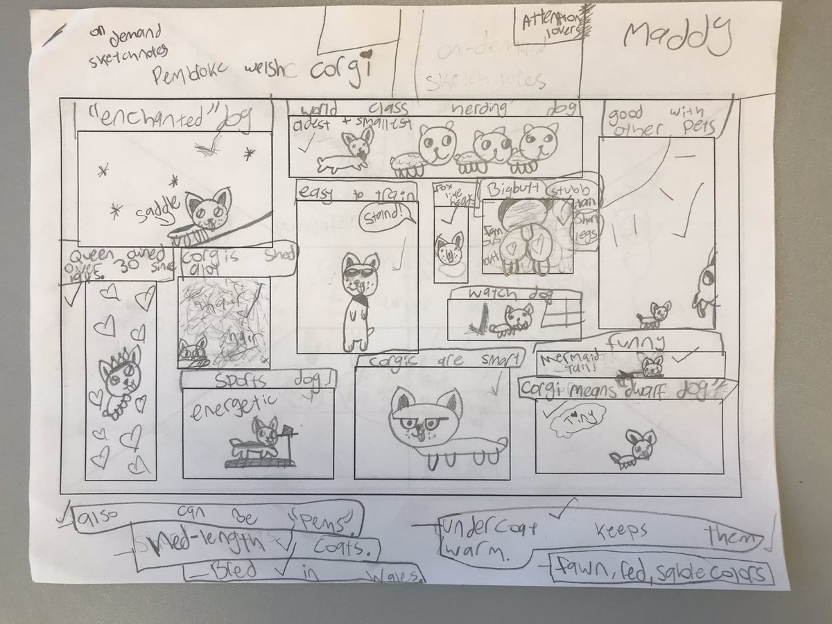 MrsSandrzyk's tweet photo. Proud teacher moment! Look at the amazing sketch notes of research my student did for her informational on demand 🥰 @TannyMcG #sketchnote #rvican #sd113a #sd113allin #inkandideas https://t.co/MvREXbzjj3