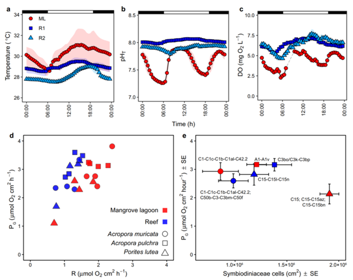 StephGGardner's tweet photo. Our paper out today - corals exhibit distinct patterns of microbial reorganisation to thrive in an extreme inshore environment. Microorganism flexibility (bacteria) and fidelity (zoox) is important for adaption.

https://t.co/lS5z0Q5zYV

@MattRNitschke @emmafcamp @DavidJSuggett https://t.co/zIJKHaaSSZ