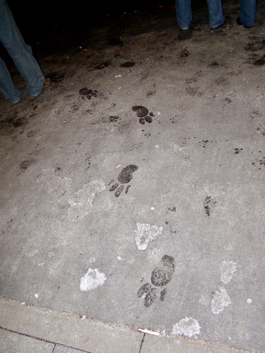 _Radjin_'s tweet photo. It #Random_Photo time. Also a #blastfromthepast, this from @eurofurence 13 in 2007. Something greater than human walked this area. https://t.co/1NFIXKls6x