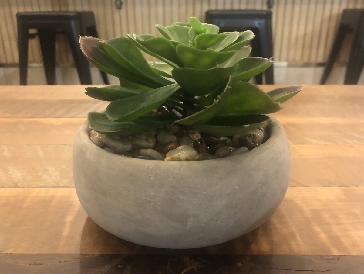 coffeegirl_77's tweet image. New #coffeehouse opened and really pretty and bright inside❤️☕️ #pjscoffee #hattiesburgms #coffeetime #MondayVibes