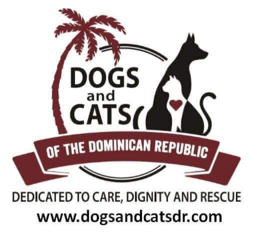 wildlydigitalco's tweet photo. We're filling up a suitcase to bring donations to a Dog and Cat Rescue Charity #DCDR in March! PM us to find out how you can get involved! #cbridge @cityofcambridge https://t.co/pHHs6Si441
