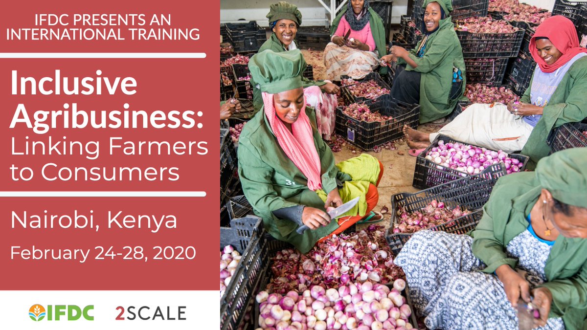 IFDCTraining's tweet image. Finally, the IFDC/2SCALE  international training- “Inclusive agribusiness: Linking farmers to markets” is happening in Nairobi, Kenya on Feb 24-28 2020. The training provides an opportunity to share knowledge  and experience with actors.Over 50 participants attending Register.