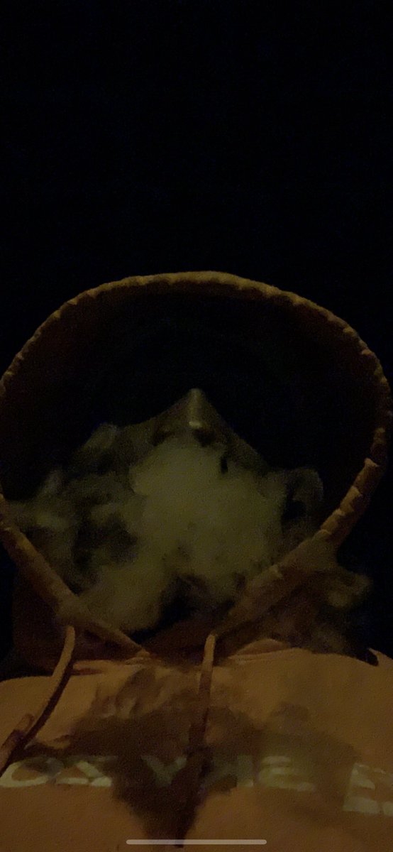 LbrJosh's tweet image. 