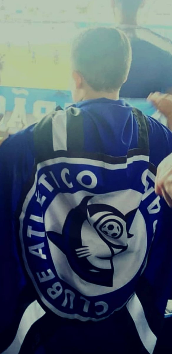 VENCEMOS!

AQUI É A GARRA!

AQUI É TUBARÃO!