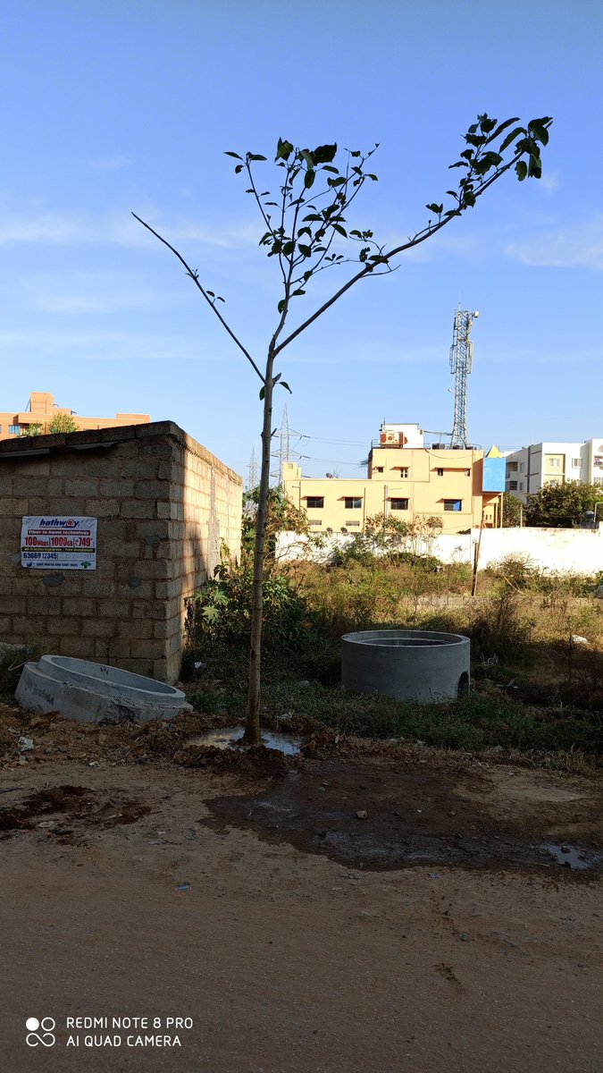 visu5747's tweet photo. They have destroyed, though it is not on thier sewgae line. https://t.co/1WYv0XNqjJ