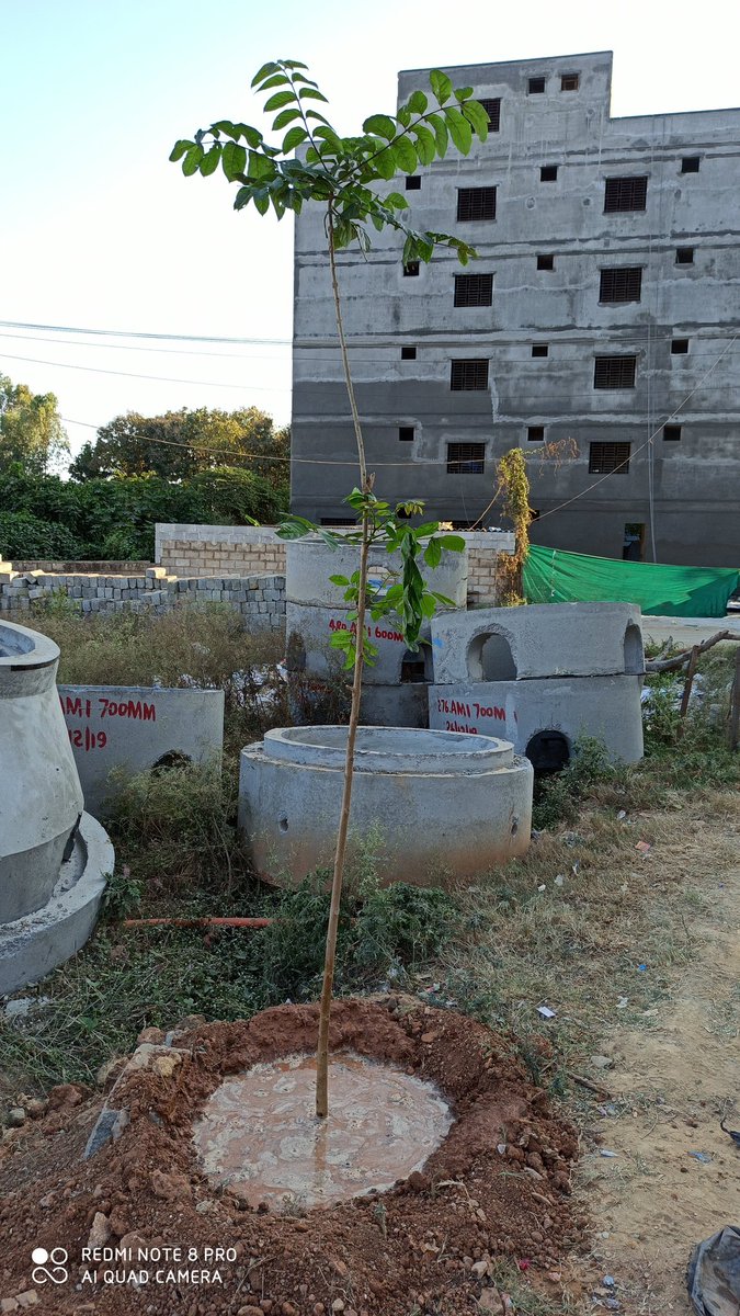 visu5747's tweet photo. They have destroyed, though it is not on thier sewgae line. https://t.co/1WYv0XNqjJ