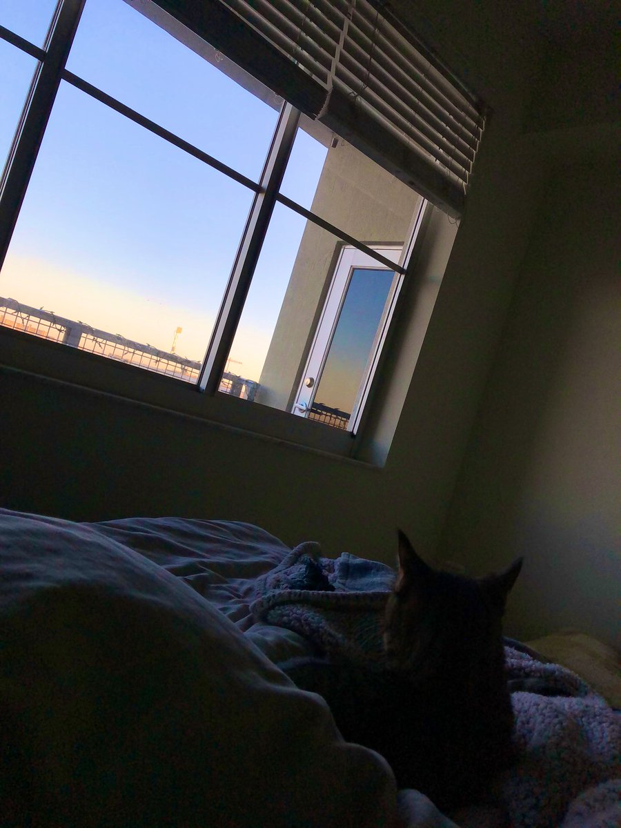 he watched the sunrise curled up next to me in bed this morning and i wasn’t mad about it 