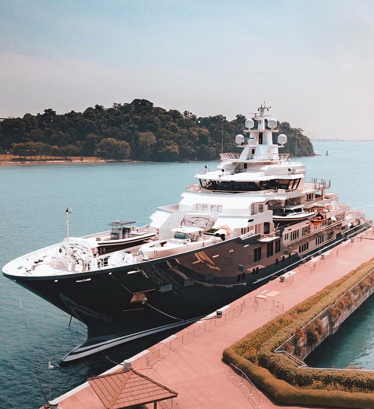 Wild Earth tweet media