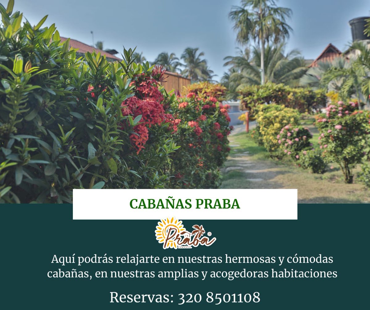CabanasPraba's tweet photo. #hotel #playa #palomino #colombia #piscina #mar #naturaleza #cabañas #pareja #habitaciones #sol https://t.co/B0sPYHHvdZ