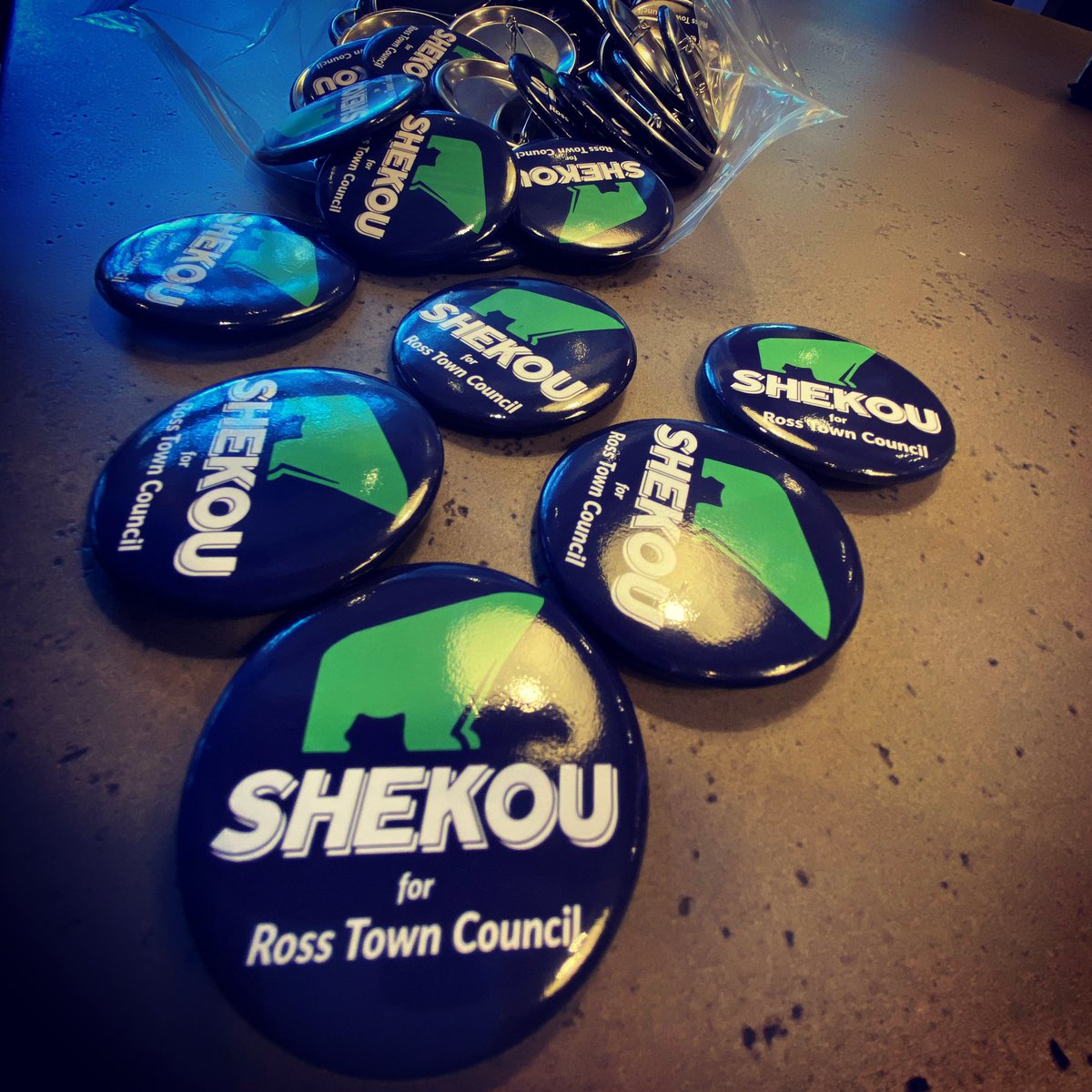 Running for Ross Town Council to support efforts to expand Branson high school enrollment, keeping our fire station and other key initiatives.
