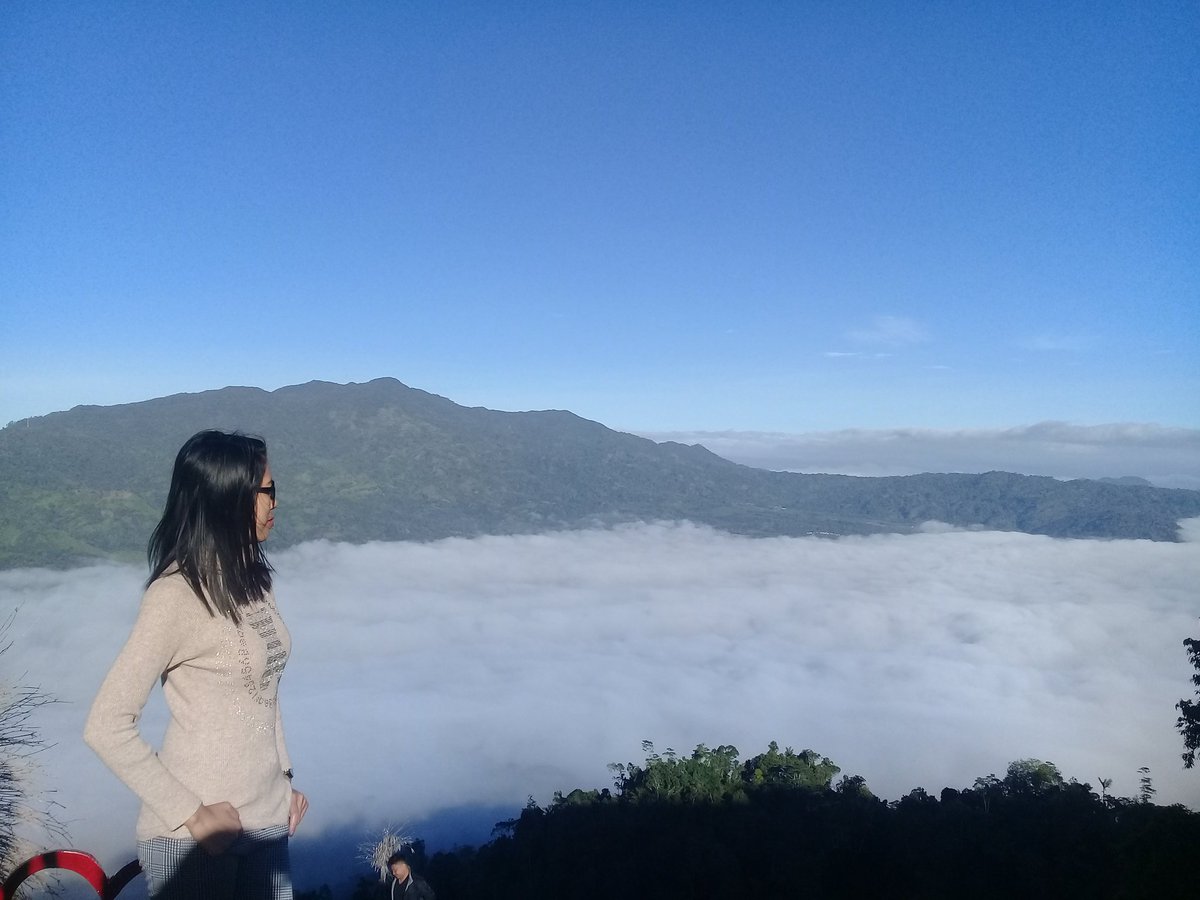 When you love someone
You gotta learn to let them go💛
#SeaOfClouds