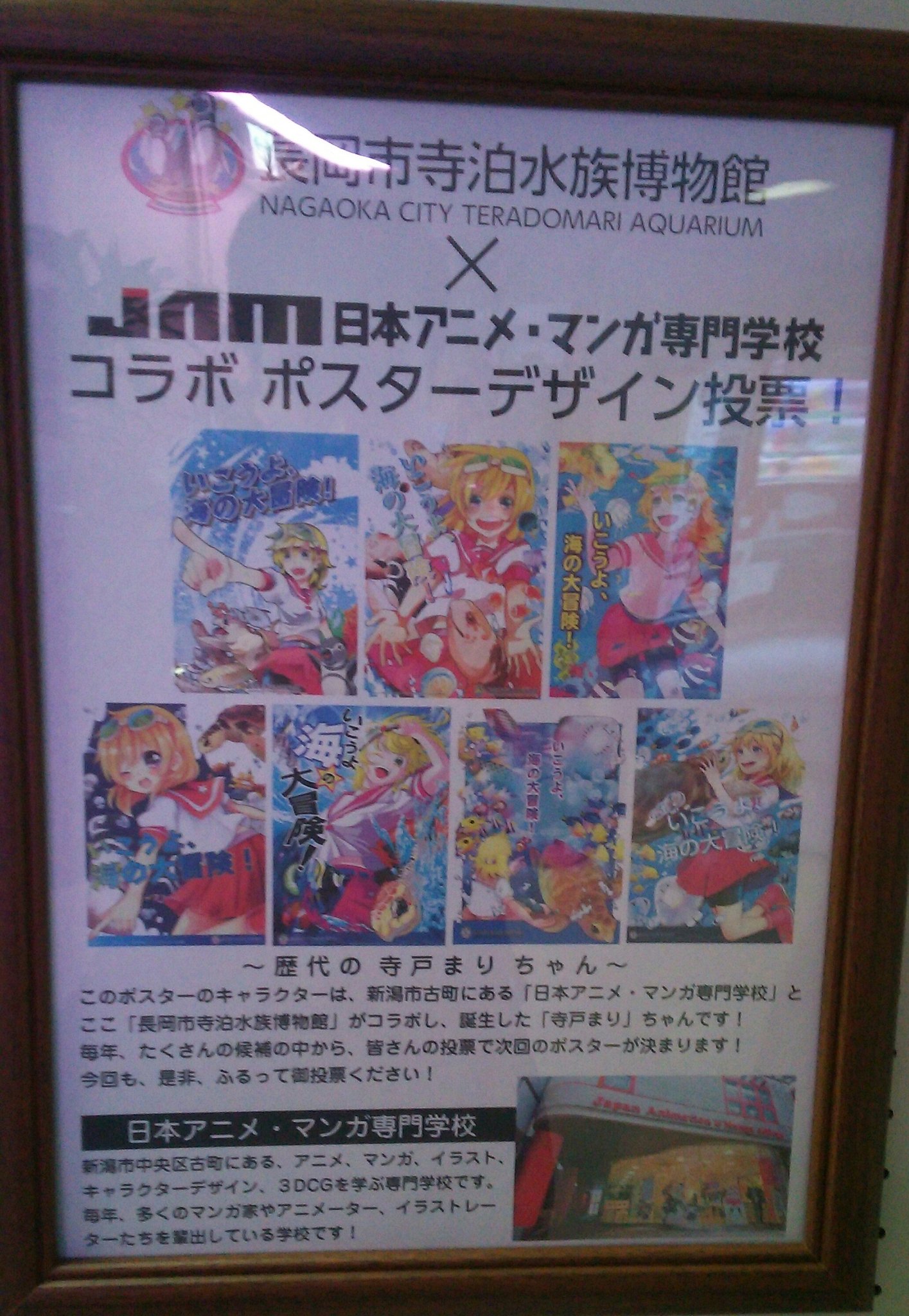 グラップラー村山 寺戸 まりちゃん 寺泊水族館のイメージキャラクターだそうです 日本アニメ マンガ専門学校の学生さんによる イラストポスターの投票イベントが行われていました T Co 5ecrzbokiu Twitter