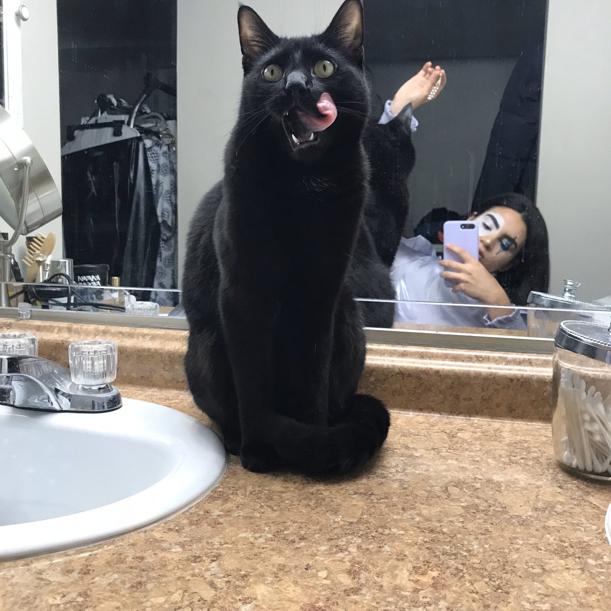 ramismercury's tweet photo. omg look how little he was!!!!!!!!!!!!! here’s an update on bby Mercury https://t.co/A7ztXblogU