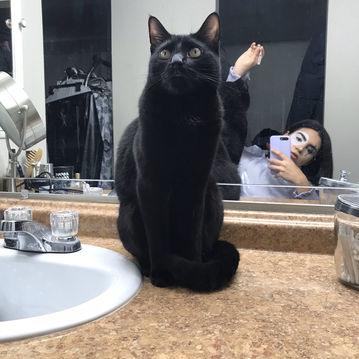 ramismercury's tweet photo. omg look how little he was!!!!!!!!!!!!! here’s an update on bby Mercury https://t.co/A7ztXblogU