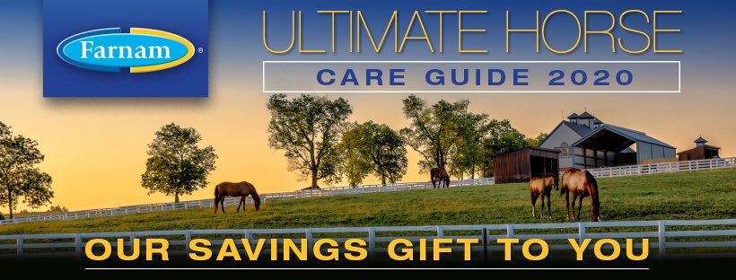 anna_brunetti's tweet photo. 6th year!!! New products, new savings, all for you! https://t.co/S3akFE1ccS #ultimatehorsecareguide #horsegirl #equestrian https://t.co/ExWfy1KLOL