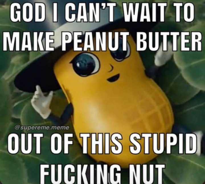 bigheadman1226's tweet photo. @MrPeanut https://t.co/EmGTrZ8DdN