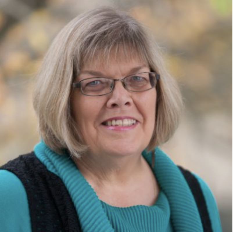 .@IFNAorg member and leader, Dr. Marcia Van Riper @MarciaVanRiper (USA), studies the family experience of living with a genetic condition and has recently completed a multi-country research project: internationalfamilynursing.org/2020/01/24/dr-… #familyhealth #familynursing