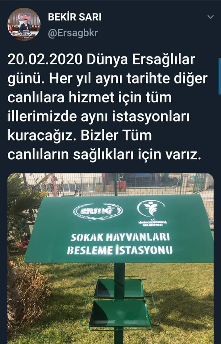 Gülsüm Fidan (@glsmfidan13) on Twitter photo 