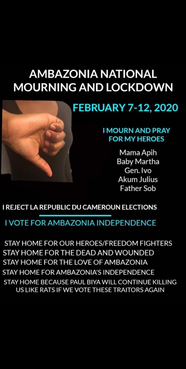 Memfis's tweet image. #AmbaExit no LRC elections in Ambazonian 
@CNN @BBCBreaking @AJEnglish @LeahHardingAJE
@AsstSecStateAF @SpeakerPelosi @senatemajldr @JoeBiden @realDonaldTrump #StopGenocideInSouthernCameroons  #UN send peacekeepers to #Ambazonia. More visit  ambazoniagenocidelibrary.com #SuperBowlLIV
