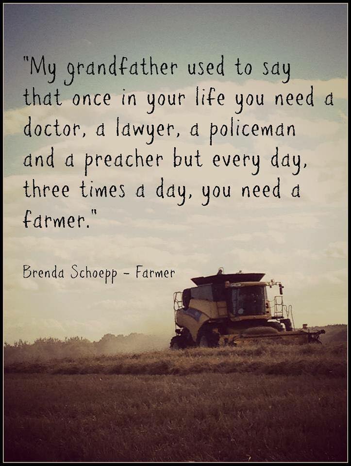 #TuesdayThoughts
#supportbritishfarmers
#Februdairy 
#arablefarmers
#sheepfarmers
#beeffarmers 🐮🚜🐑