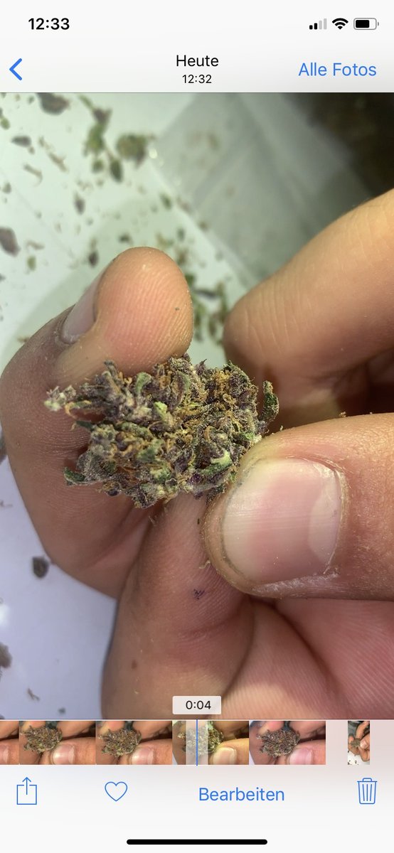 weeddshop100's tweet photo. De la bonne qualité commandez sur /

Snap/jeanmarieowon19

Wickr/weedshop100

#Marseille #paris2020 #Lyon #toulouse #Nice #nantes #Strasbourg #Montpellier #Bordeaux #Lille #Rennes #Reims #lehavre #saintetienne #Toulon #grenoble #Angers #Dijon #brest #Nimes #LeMans https://t.co/AVtLvFAPbh