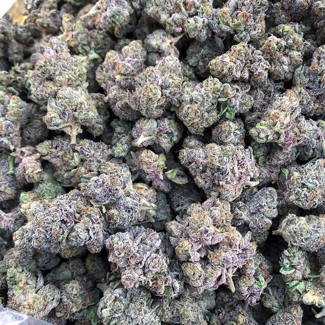 weeddshop100's tweet photo. De la bonne qualité commandez sur /

Snap/jeanmarieowon19

Wickr/weedshop100

#PauvreFrance #courbevole #vitrysurseine #asnièressurseine #colombes #larochelle #antibes #calais #auberviliers #beziers #Cannes #bourges #SaintNazaire #Dunkerque  #quimper #valence #colmar #drancy https://t.co/gJOVrCxbEQ