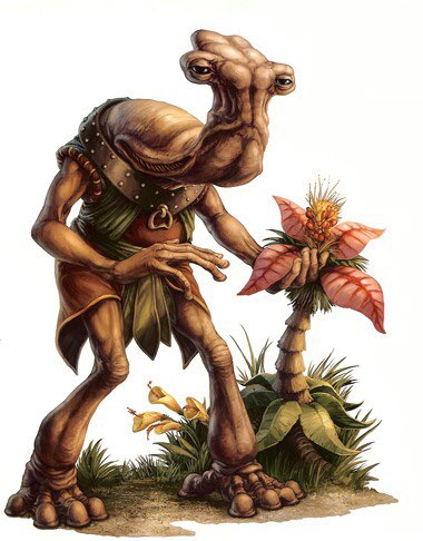 Nymphaea 9位 イソーリアン ハンマーヘッドとも呼ばれる事もある突き出た頭部がインパクトのある種族 園芸が好きな平和主義な種族だが いざとなれば武力で対抗することも厭わない勇敢な一面も持つ 有名個体 ロロン コロブ バルドゥーガ オンカ