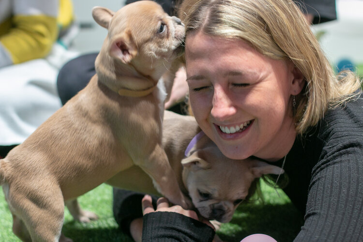 firstmile's tweet photo. *Best Day Ever* were the words uttered the most last Tuesday when @pawsinwork came to First Mile 🐶 First Milers spent time playing with the puppies – great for employee wellbeing, helping them to destress and re-energise 😃
#CompanyCulture #PawsInWork #Wellbeing https://t.co/oT6P0fSnb1