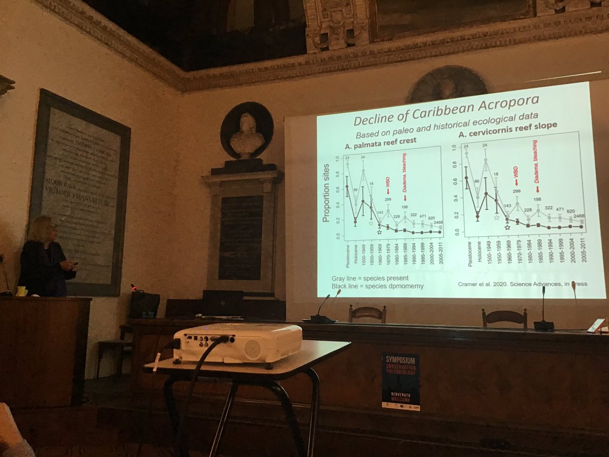 NHM Corals tweet media