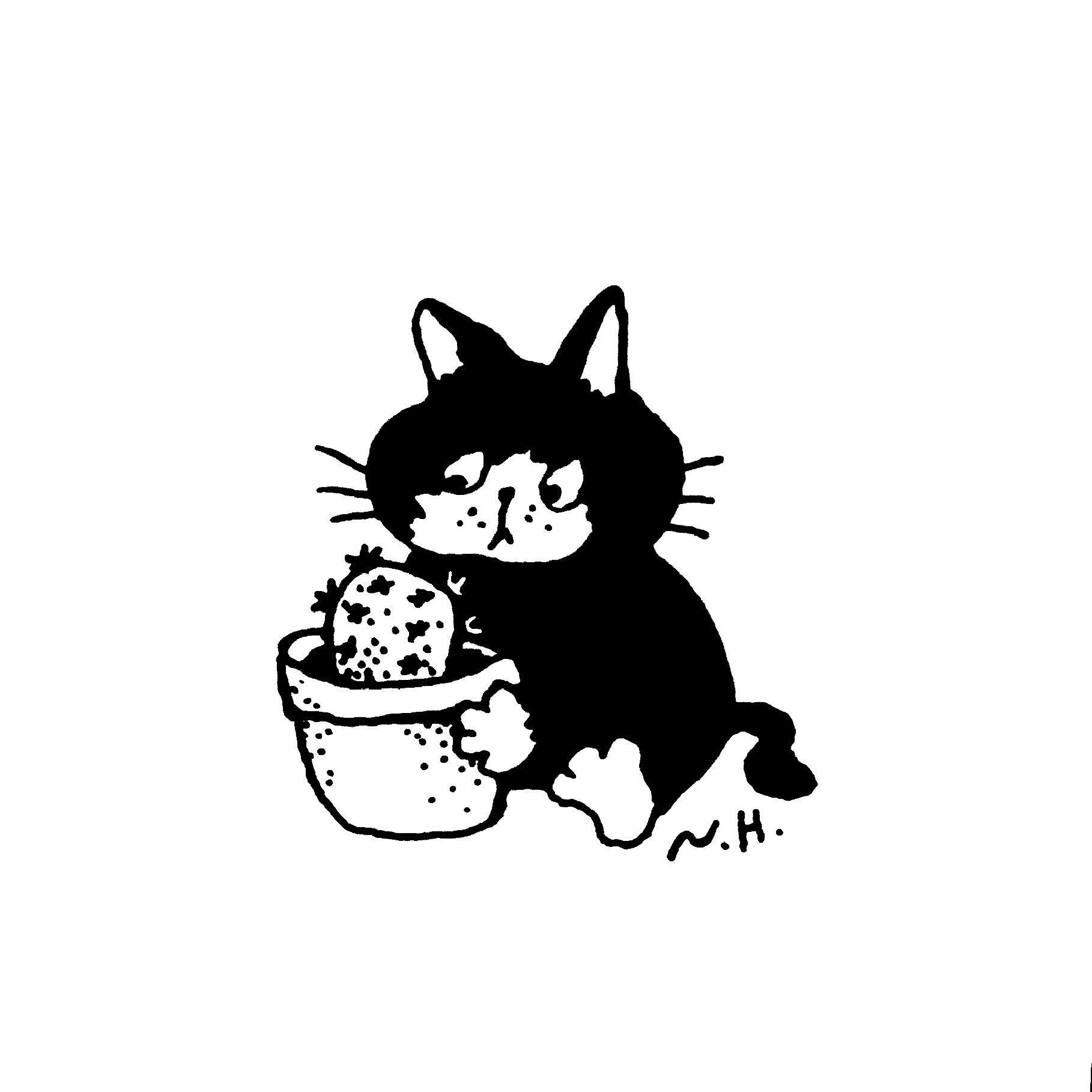 ネコワナンビキオッテモコマランと思う。ページ MO🐈‍⬛KO on X: 