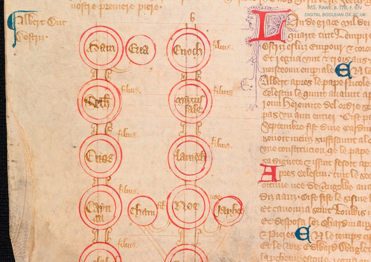 Detail from a medieval manuscript, showing a genealogical diagram.