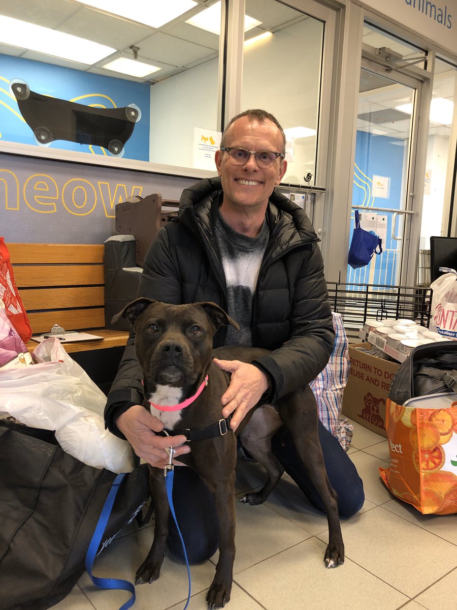 RockandRawhide's tweet photo. Roadie Tom picked up goodies from @petco Union Squ for @bideawee Manhattan (sooo many cans of dog &amp; cat foooood🐶🐱) where he met BUBBLES she needs a home - 1yo, sweet, good w most dogs, has had her own litter so it’s time for BUBBLES to be cared for &amp; loved! 💕 https://t.co/cqmto32RoW