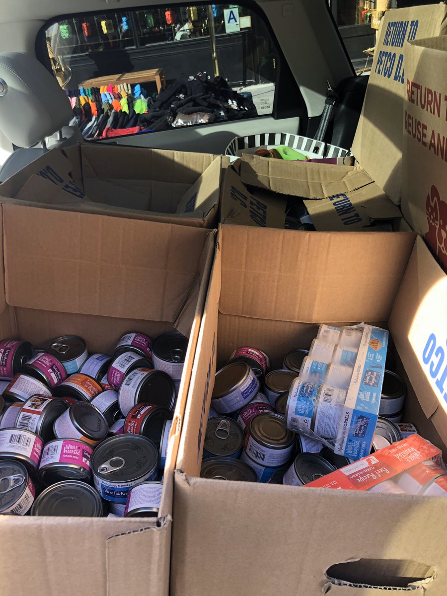 RockandRawhide's tweet photo. Roadie Tom picked up goodies from @petco Union Squ for @bideawee Manhattan (sooo many cans of dog &amp; cat foooood🐶🐱) where he met BUBBLES she needs a home - 1yo, sweet, good w most dogs, has had her own litter so it’s time for BUBBLES to be cared for &amp; loved! 💕 https://t.co/cqmto32RoW