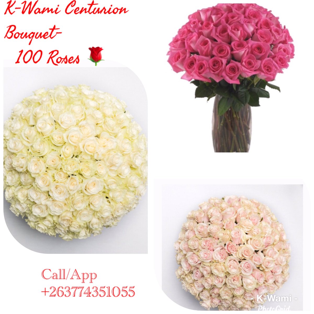 KPuwai's tweet photo. #ValentinesDay#Roses#Love🥰 https://t.co/NkXmjvrRXB