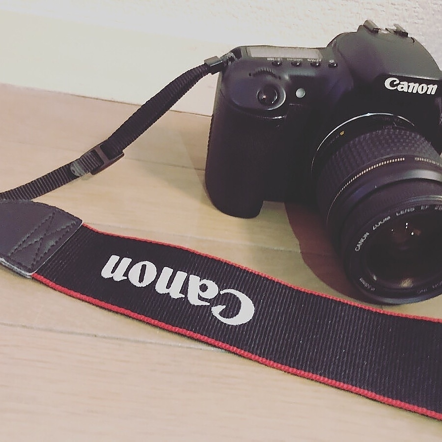 yukkin_kyu's tweet image. 増えた趣味でいうと
乗馬とカメラです