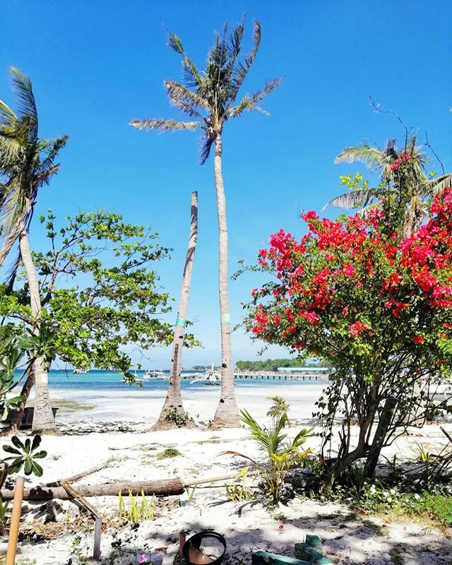 MikkiThompson's tweet photo. View from my bungalow this place is ridic https://t.co/7qb0EGYfYD https://t.co/Y5tFlYsDiU