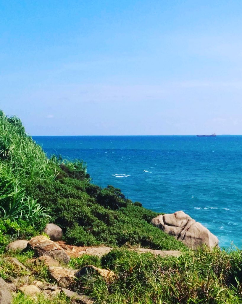 Buddhi_r's tweet photo. Once in a while ,
take your time out,
so sit back and slow down and to feel free ... ☮️

#freedom #wordstoliveby #relax  #stillness #meditation #peace #nature #scenaries #lifeonearth #earth #traveller #SriLanka #lka #unawatuna #IndependenceSL #travel #wellness #happiness #soulful https://t.co/GkMIy1trTs