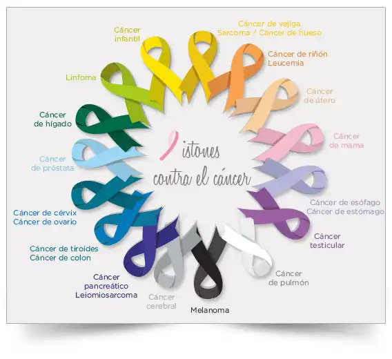 Pauli_G's tweet photo. Hoy, 04 de febrero es el #DíaMundialContraElCáncer

Para todas aquellas personas que luchan día a día por superar esta terrible enfermedad y para sus familias, mucho ánimo y mucha fuerza 💪 . No estáis solos. Un abrazo. 

#WorldCancerDay https://t.co/kvxvN2eydg