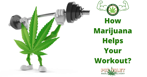 PotValet's tweet photo. Exercise is extremely rewarding, but finding motivation to work out can be challenging for many. Cannabis helps, and not just in energizing you, but also in several crucial ways.

Read Here 👉https://t.co/EYq7O2JPMU

#cannabisdelivery #MarijuanaDelivery #weeddelivery #Potvalet https://t.co/hZJAAhjW3U