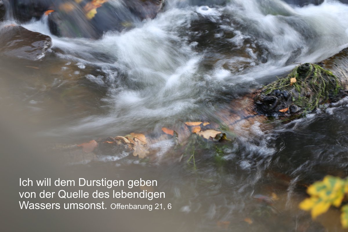 Eine Quelle im Wald, aufgenommen mit Langzeitbelichtung: Das Wasser sieht schön vernebelt aus. Dazu die Tageslosung: Ich will dem Durstigen geben von der Quelle des lebendigen Wassers umsonst.

Offenbarung 21,6