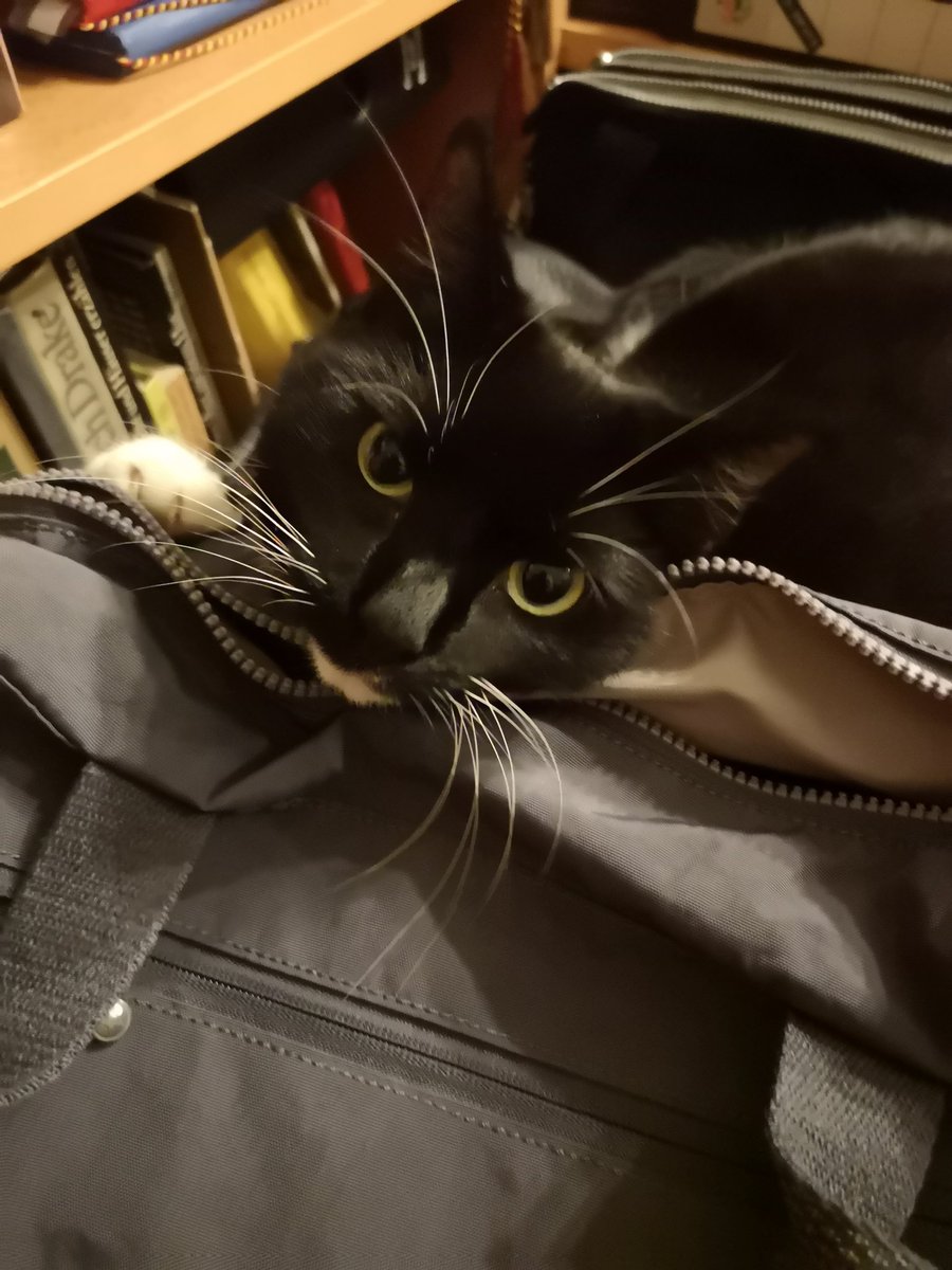 <a href="/rubin_gisela/">Gisela R.</a> Guten Morgen, das machen wir auch immer so. 🐱🐱Wir wünschen einen schönen Tag. 🌞