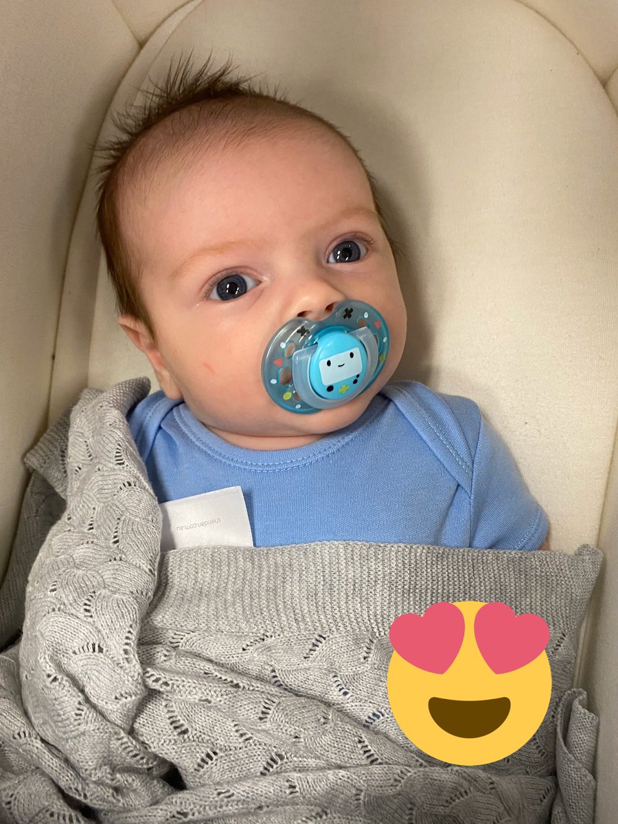 laurie_rees2's tweet photo. Those eyes though 😍👀😍👀 #frankieboy https://t.co/mYdFOtFHL8