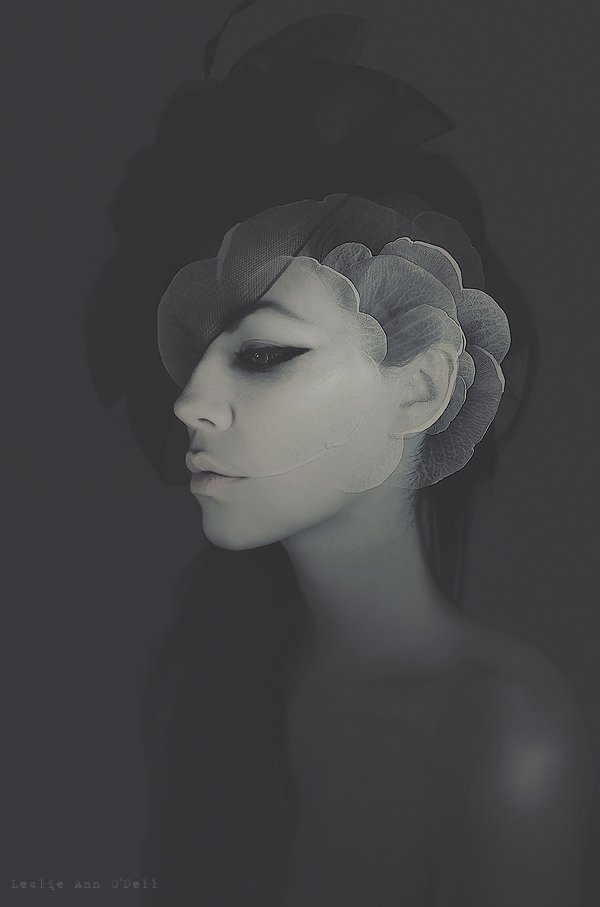 laetirature's tweet photo. ~ Ma femme n'est pas une femme, c'est une fleur ; on ne la possède pas, on la respire ! ~ Octave Feuillet
Leslie Ann O'Dell https://t.co/dhv1wqj4nq