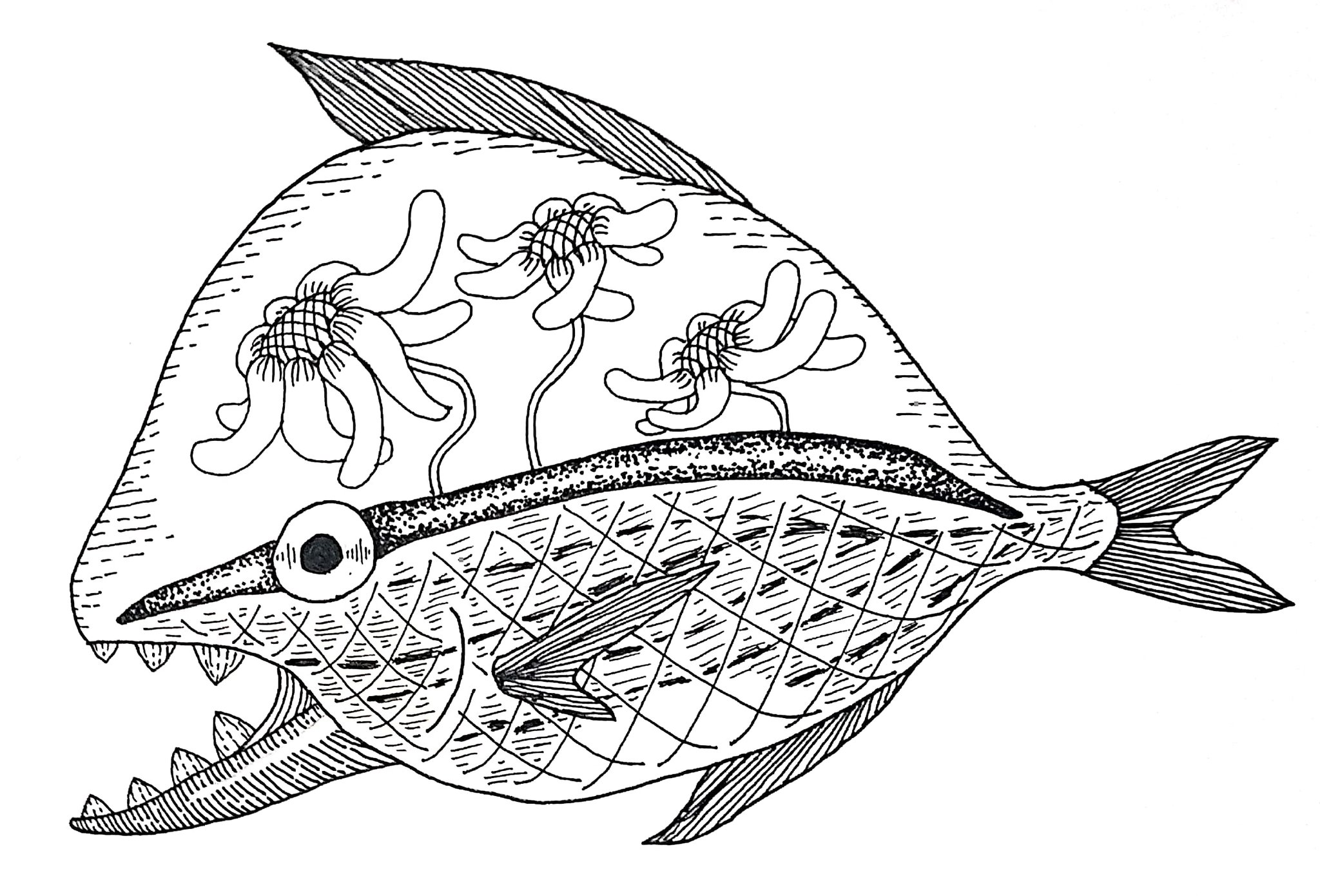齊藤健太 おさかな ふぁいん いぬたおさかな 魚 ボールペン ボールペン画 ボールペン ペン画 絵 イラスト アート アートワーク Artwork Art Illustration Painting Bollpointpen T Co Naryktvhsb 齊藤健太 おさかな ふぁいん いぬたおさかな 魚 ボールペン ボールペン画 ボールペン ペン画 絵 イラスト アート アートワーク Artwork Art Illustration Painting Bollpointpen T Co Naryktvhsb