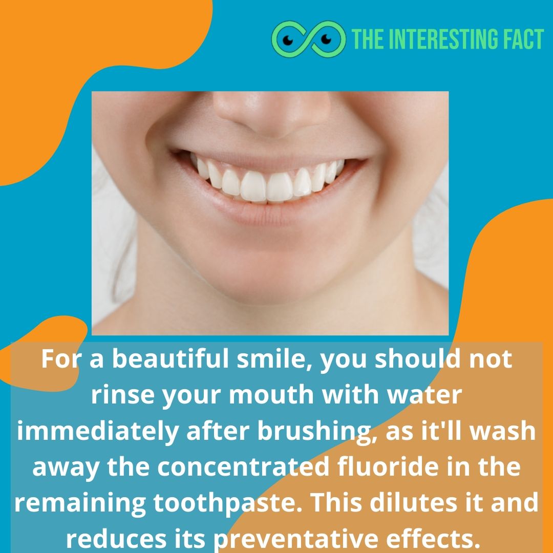 factsTIF's tweet photo. There are several unknown facts
for more visit: https://t.co/FyRq2La8YL
#cleaningteeth #healthteeth #smile #brushingteeth https://t.co/xy7b2oRGMN