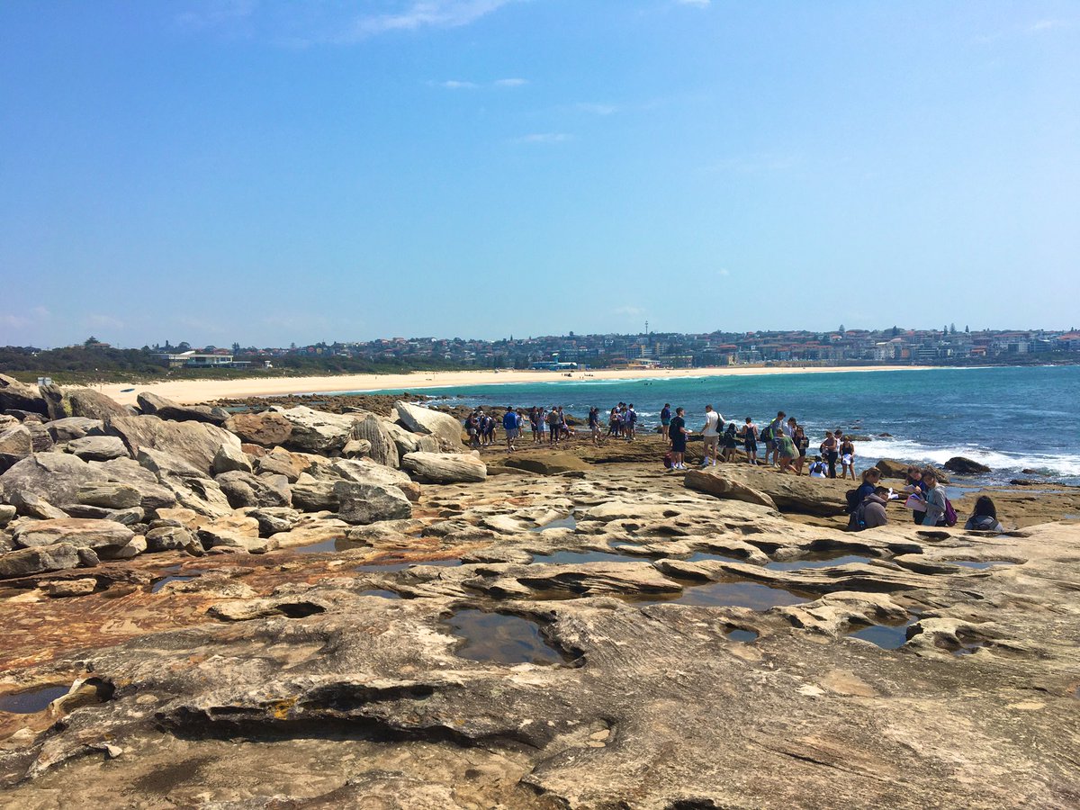 Pat Cupay tweet media