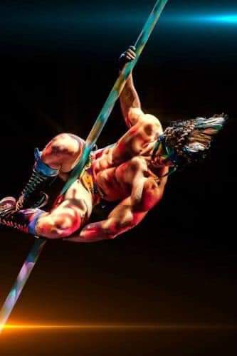 chinodesignsnyc's tweet photo. @DeemDebra @Ejmiller25 @MattWalshBlog OMG.... it is a man with hardly any clothes on, on a pole, at the circus.... where children are.

He must be a stripper!!! https://t.co/D8oI4tFONn
