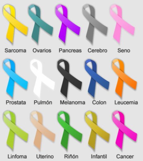 Con prevención y con inversión en investigación se lucha contra el cáncer. Una lucha que es de todas y de todos. Que no quede solo en el día de hoy. Un abrazo muy grande para tod@s l@s que luchan diariamente contra el cáncer.
#DiaMundialContraElCancer 
#WorldCancerDay2020